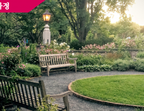 Orthodox Christians across Russia are celebrating Easter - the holiest event in the Christian calendar. Shortly after the end of all-night Easter services in Russia's churches, the country's president, Vladimir Putin, sent his greetings to Russian Christians.

In a message distributed by the presidential press service, Mr. Putin expressed his wishes for good health, happiness, and wellbeing to Orthodox Christians.

Mr. Putin also said that such large-scale celebrations of Easter in Russia are a clear sign that Christian traditions are being revived across the nation.
The Russian president praised the Russian Orthodox Church for calling for mutual understanding and tolerance, strengthening the family, and helping to bring up Russia's younger generation.

Mr. Putin, who was on a visit to Tajikistan, attended the Easter service at the Orthodox St. Nicolas Cathedral in the country's capital city, Dushanbe, late Saturday.

Worshipers also gathered for midnight Easter services at 16,000 churches across Russia.

The nation's main service was held at Moscow's Christ the Savior Cathedral. A delegation of priests and dignitaries carried oil lamps, which were said to contain holy fire from the Church of the Holy Sepulcher in Jerusalem, believed to be located on the burial place of Jesus. The fire was reportedly transported to the Cathedral straight from the airport after arriving from Jerusalem in a special container designed for the Olympic Flame.

The head of the Russian Orthodox Church, Patriarch Alexei II, did not lead the service this year. According to Russian media, the 74-year-old patriarch is still recovering from flu and pneumonia, and doctors advised him against taking part in the hours-long liturgy.

Easter service marks the end of the 40-day Orthodox Fast, with believers joining family and friends early Sunday to eat Easter cakes and colored eggs.



This is Bill White with the VOA Special English AGRICULTURE REPORT.

Many people who come to Washington, D-C, act surprised when they first visit the United States National Arboretum. The National Arboretum is only a short drive from the center of the city. However, visitors to the Arboretum often feel like they are far from the busy American capital.

The National Arboretum covers one-hundred-eighty hectares of green space in the northeast part of Washington. The area is famous for its beautiful flowers, tall trees and other plants.

An arboretum is a place where trees and plants are grown for scientific and educational purposes. The National Arboretum was established by an act of Congress in Nineteen-Twenty-Seven. Today, the United States Department of Agriculture operates the Arboretum.

The goal of the Arboretum is to carry out studies and provide education in an effort to improve the environment. The goal includes protecting trees, flowers and other plants and showing them to the public.

The National Arboretum is a popular stop for visitors to Washington. About six-hundred-thousand people visit the Arboretum each year. It also has become famous through cooperative programs with many countries, including Austria, Japan and Russia.

Recently, the Secretary of Agriculture, Ann Veneman, opened a year-long celebration in honor of the National Arboretum’s seventy-fifth anniversary. Mizz Veneman praised the Arboretum as a national treasure.

As part of the celebration, Mizz Veneman assisted in the planting of a tree near the United States Capitol building. The tree -- a Sun Valley red maple -- is one of the many award-winning plants developed by Arboretum scientists.

The Sun Valley red maple was developed as part of a project to study the genetic qualities of leaf color and insect resistance. The tree produces leaves that remain bright red late into autumn. It was tested in the state of Maryland. The Sun Valley maple kept its colorful leaves for about two weeks before they fell to the ground. The tree also resisted the potato leafhopper, an insect that feeds on the leaves of trees.

American Agriculture Department officials say they expect the Sun Valley red maple will be ready for sale to the general public next year.

This VOA Special English AGRICULTURE REPORT was written by George Grow.