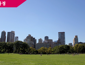 New York City has kicked off a year-long celebration to mark the 150th anniversary of Central Park, which was created from barren swampland in the heart of the city. It is considered the ultimate everyman's playground. The city will honor the park's sesquicentennial with a host of concerts, fireworks and special events.

Central Park is home to an array of sports enthusiasts, hobbyists, performers and many civic groups, all of whom use the park to pursue their passions. It is the single 337-hectare rectangle of woodlands and bridle trails, playgrounds and historic plazas, that provides an alluring stage for the pastimes of the 25 million people who visit the park each year.

Sara Cedar Miller is chief photographer and historian for the not for profit Central Park Conservancy, which has managed the park since 1980 and provides more than 85 percent of the park's annual $20-million operating budget. Ms. Miller has published a comprehensive history of Central Park, a work that took her 10 years to complete. She is one of the park's main cheerleaders. 