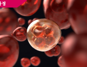 Genetic engineering of crops has spread quickly since the first products of the early nineteen-nineties. Different nations develop such crops to meet different needs. As a result, the policies of some countries conflict with the policies of others.

The International Food Policy Research Institute is a private organization in Washington. In January, the group released a report that discusses the policies many countries have put in place. The report also discusses the problems of international trade in genetically engineered crops.

It says nine international organizations are currently competing to set rules for different areas of food safety. These groups include agricultural and health agencies of the United Nations. The World Trade Organization is also among them.

Some countries are more likely than others to approve and market genetically changed foods. The report says Canada, Japan, Mexico and the United States approve most newly engineered crops. Australia, the European Union and New Zealand, however, have delayed approvals in recent years because of concerns among citizens.

One issue is the use of special markings to let people know that a product has been genetically engineered. Some countries permit manufacturers to decide. Other nations require all products that contain more than one to five percent of genetically changed material to say so.

The International Food Policy Research Institute says six nations have the most established policies. These are Australia, Britain, China, Japan, New Zealand and South Korea.

The differences in policies are a good example of how difficult it is to develop international rules for genetically changed crops. Countries that do not require special markings may suffer in markets where the public desires such information. Also, the process for approving new genetically engineered crops has increased the time it takes for these products to come to market.

The United States, for example, has lost almost all its market for corn exports to the European Union. E-U officials have not approved new crops of genetically changed corn since nineteen-ninety-seven. At the same time, Argentina has exported huge amounts of such corn that already has E-U approval.

Next week, we will continue to examine international trade in genetically changed crops.

This VOA Special English Agriculture Report was written by Mario Ritter.


Senior diplomats from the United States, North Korea, and China are beginning talks in Beijing aimed at defusing the crisis over North Korea's nuclear ambitions. These closed-door meetings are the highest level discussions between Pyongyang and Washington since the nuclear crisis began last October.

U.S. Assistant Secretary of State James Kelly said nothing of substance as he brushed past reporters waiting outside his Beijing hotel early Wednesday. He heads the U.S. delegation that hopes to put a 